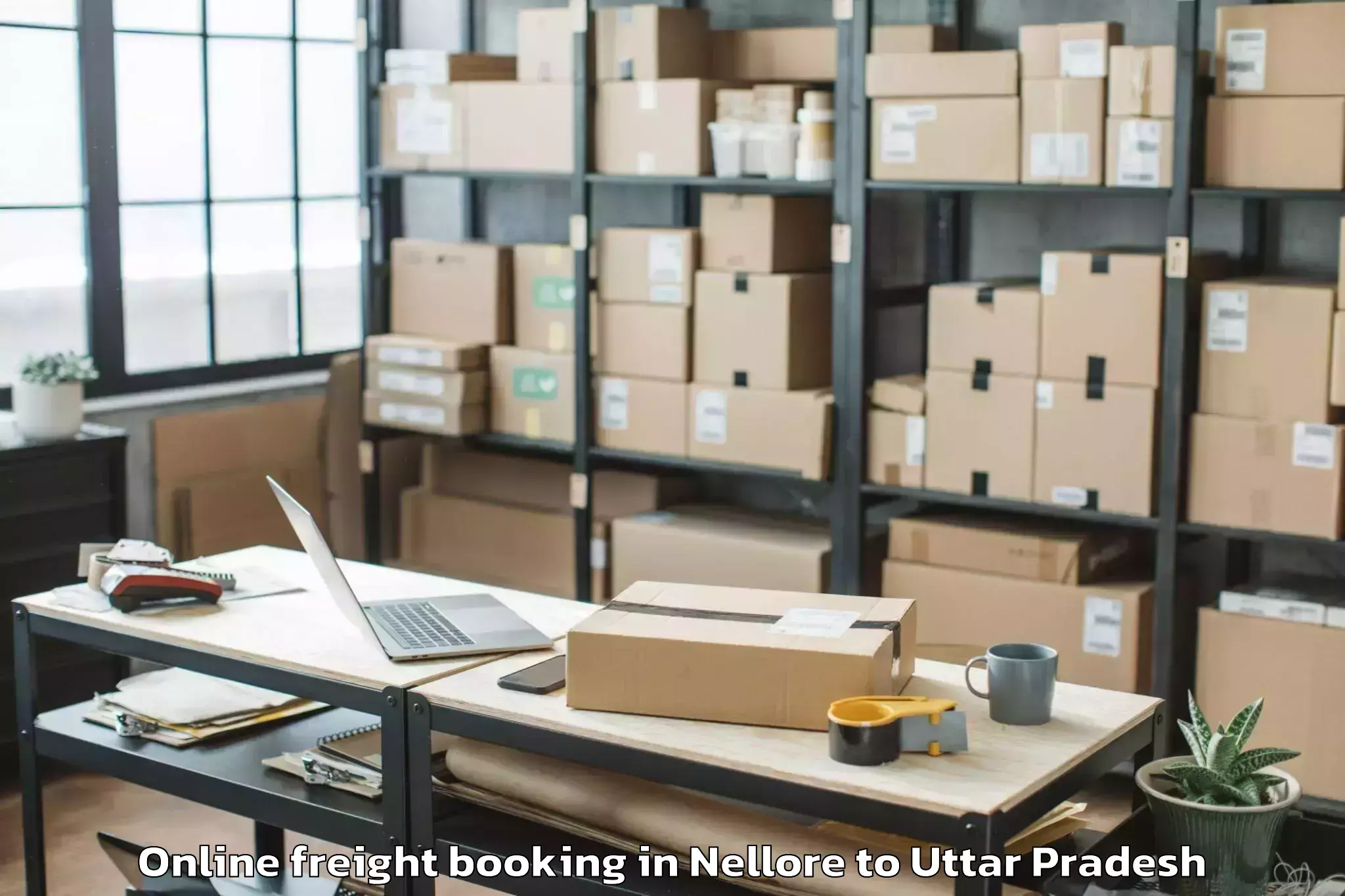 Book Nellore to Manjhanpur Online Freight Booking Online